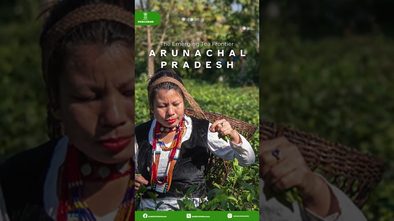 International Tea Day From the bold brews of Assam to the rare notes of Arunachal,