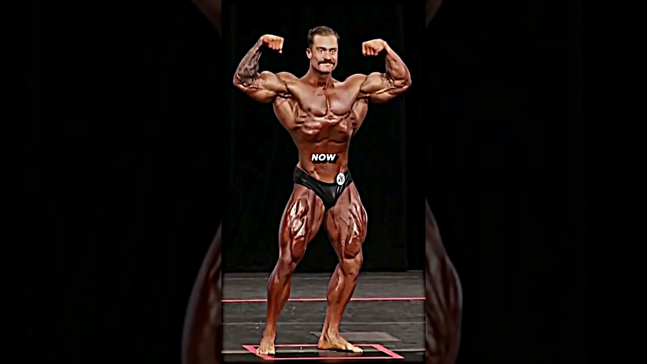 Bodybuilding Evolution