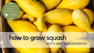 How To Grow Squash by Horticulture Webinar Wednesday 56 views 4 days ago 34 minutes