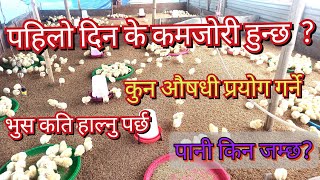 बोइलरको पहिलो दिन // के कस्ता कमजोरी हुन नदिने // First day of boiler chicken// Namaste Kishan TV