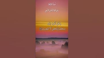 تلاوة خاشعة للقارئ عبدالباسط عبدالصمد
