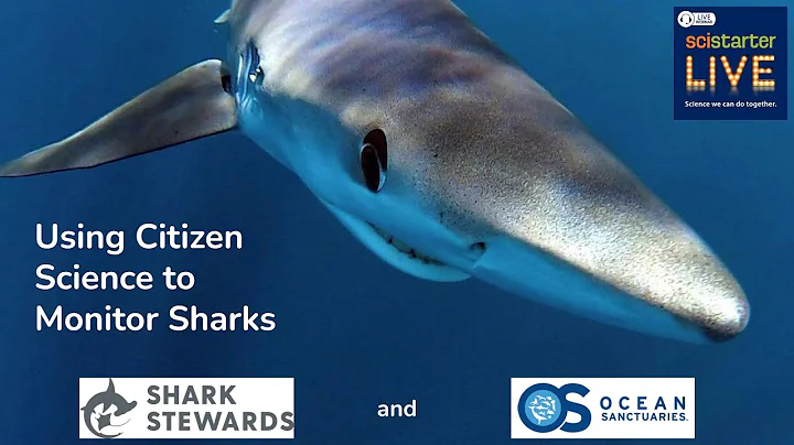 SciStarter LIVE #45: Using Citizen Science to Monitor Sharks