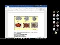 Repaso unidad iii - Parasitología