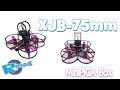 XJB 75mm fully protected PICA box MiniQuad frame