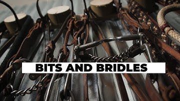 Tack Talk | Introduction to Bridles and Bits