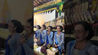 Wayang Kulit Jogja Wayang Kulit Jogja