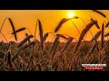 سروودی کوردی تەوحیدی جیھادی بە ناوی چۆڵی ناکەم سەنگەرم بەدەنگی سەلیم عومەر