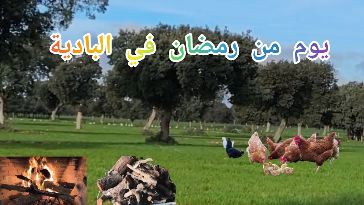 رمضان في القرية 🌙 حريرة وفطور دافئ في فرن جبلي 