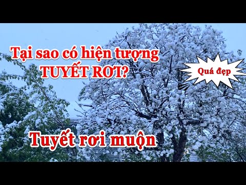 Video: Tại Sao Tuyết Rơi