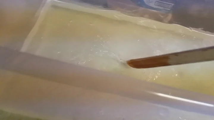 Step 3 of tanning. The pickle