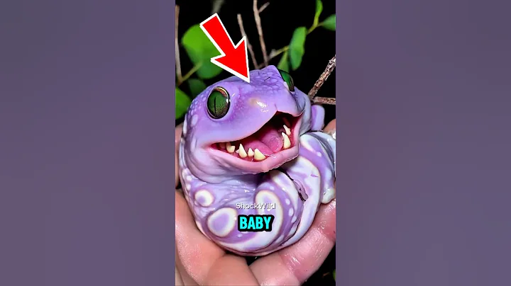 TOP 5 CUTEST BABY ANIMALS THAT TURN INTO BEASTS AS ADULTS! 🐾➡️🦁 thumbnail