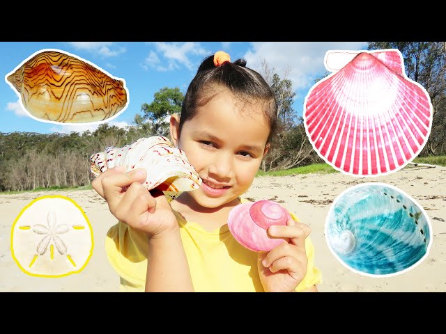 Zoe Collecting Seashells On The Beach Fun Outdoor Activity class=