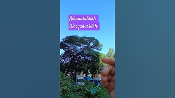 Syukur Alhamdulillah wanikmatillah  .cuaca sudah membaik kembali ,fi Hongkong