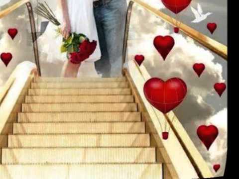 شيماء هلالى فكرنى انا امتا نسيتك