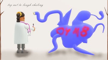 Addendum: Chordam Favelae