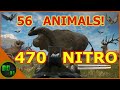 HUNTING EVERY ANIMAL IN THE GAME! (2021 Edition) Call Of The Wild