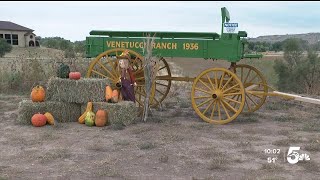 Venetucci Farms to host pumpkin patch event