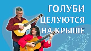 Тише люди, ради бога тише! Голуби целуются на крыше #двороваяпесня