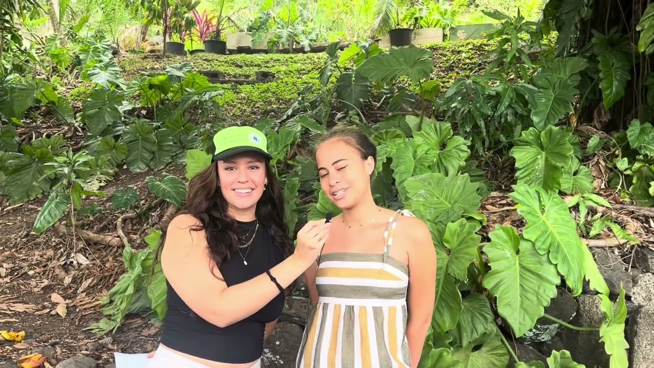 Qu'est-ce que la Bourse de STAGE ERASMUS+?