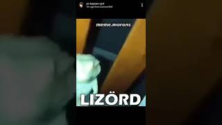 Lizörd