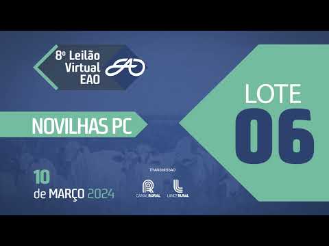 LOTE 06