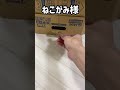 ねこがみ様に500円をお賽銭してみたら、取り方が予想外すぎた【#Shorts】