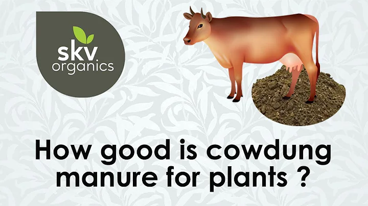 How good is Cowdung manure for plants ?