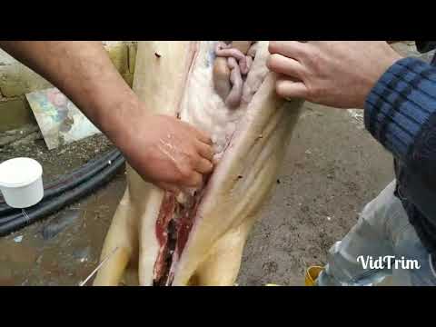 შობის ტრადიცია..ღორის დაკვლა,გასუფთავება.მწვადის შეწვა..სუფრა და იმერული გემრიელობები