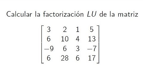 Factorización LU