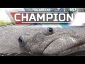 CHAMPION FLOUNDER | Apex Legends