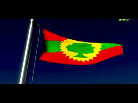 Faaruu Alaabaa Oromoo