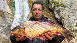 3 CARP, WATERFALL AND FRESH AIR! THE PERFECT COMBINATION FOR THE BEST LUNCH
