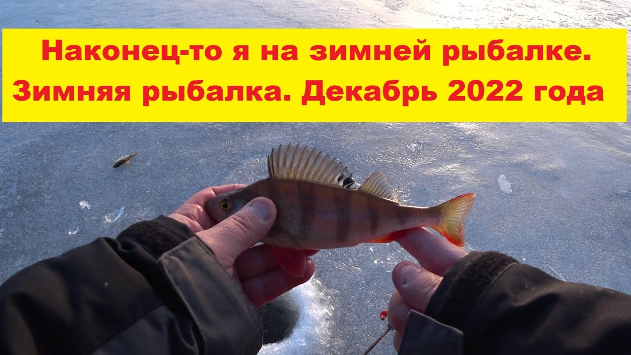 Рыбалка декабрь 2023