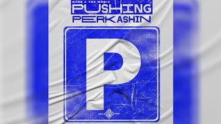 W4de x TNK Musiq - Pushing Perkashin