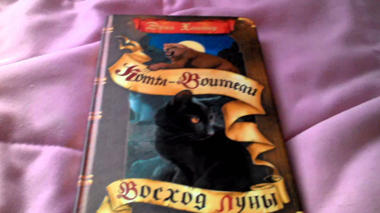 Книга восход луны. Коты-Воители. Восход Луны. Коты Воители Золотая коллекция полночь Восход Луны. Коты Воители книга Восход Луны. Коты Воители новое пророчество Восход Луны.