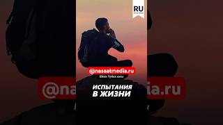 Испытания в жизни. #насаатмедиа #rec #rek #film #шейх_чубак_ажы #live #чубакажы #ислам #насаат #sabr