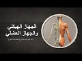 الجهاز الهيكلي والجهاز العضلي علوم خامس
