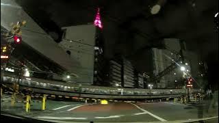 I Can't Say Good Bye -- Tomoko Aran (Minami Shinjuku)