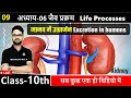    excretion in humans  kidney   chapter06    jaiv prakram