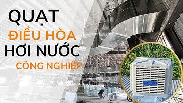 Quạt hơi nước công nghiệp || Giải pháp làm mát hiệu quả hiện nay.