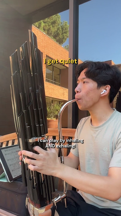 “From the Start” by @laufey a Chinese Instrument!  #dayinthelife #laufey #fromthestart #sheng