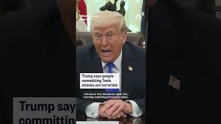 Trump says people committing Tesla attacks are terrorist