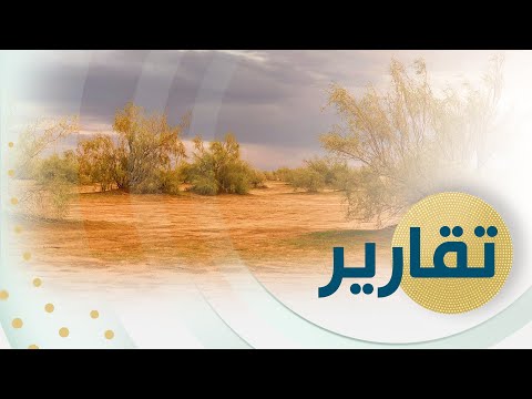 السعودية تكثر من زراعة شجرة الغضا للحد من العواصف الرملية