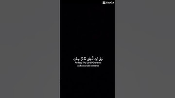 اللهم اجعل القرآن الكريم ربيع قلوبنا 😍🥰😘 #لايك