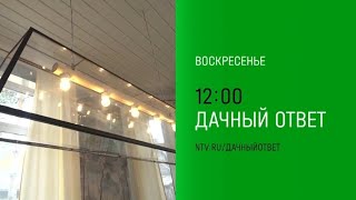 Анонс, Дачный Ответ, воскресенье в 12:00 на НТВ, 2024