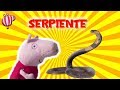 Tarta de pañales y La Patrulla Canina rescata a Peppa de SERPIENTE | Vídeos de Peppa Pig en español