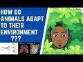 How Do Species Adapt to Their Environment???