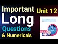 Physics Class 11 Unit 12 New Book | Important questions of unit 12 For Final Exams preparation 2026