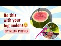 DIY Double Melon Pitcher 🍉