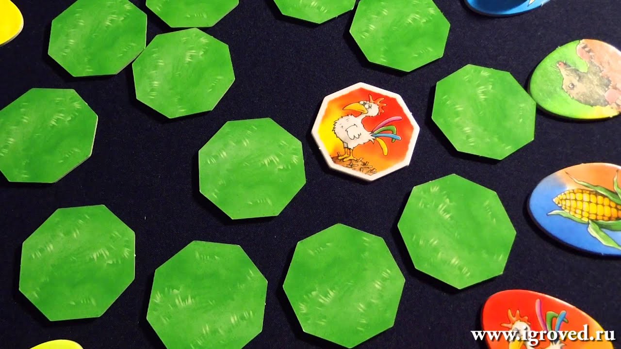 Цыплячьи бега: Бег по кругу. Обзор настольной игры от Игроведа - YouTube